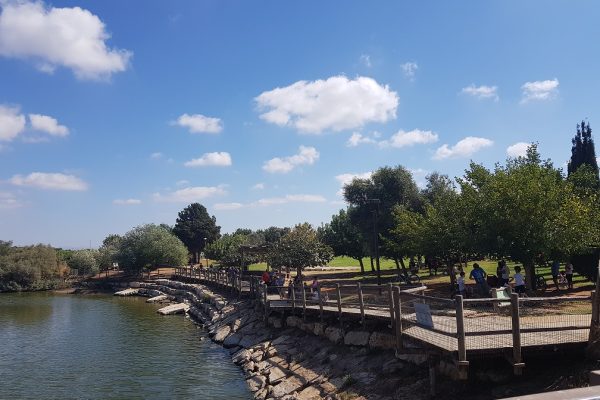 נחל אלכסנדר – פארק צבי הנחל