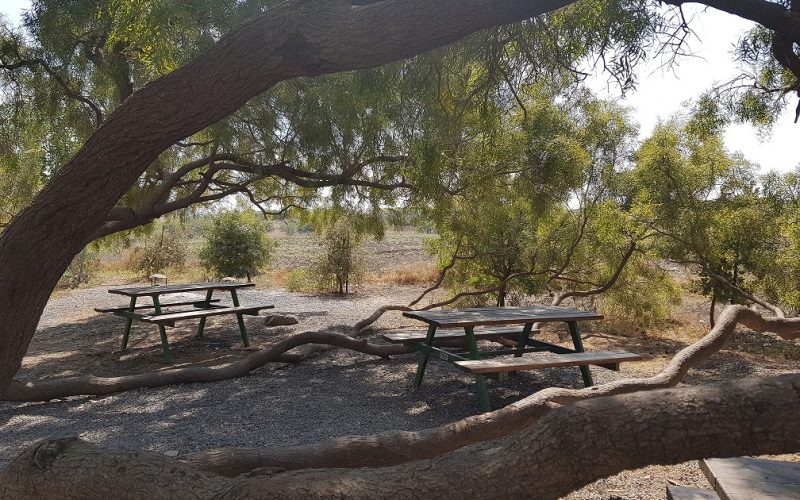 מעיין בשביל החמישה