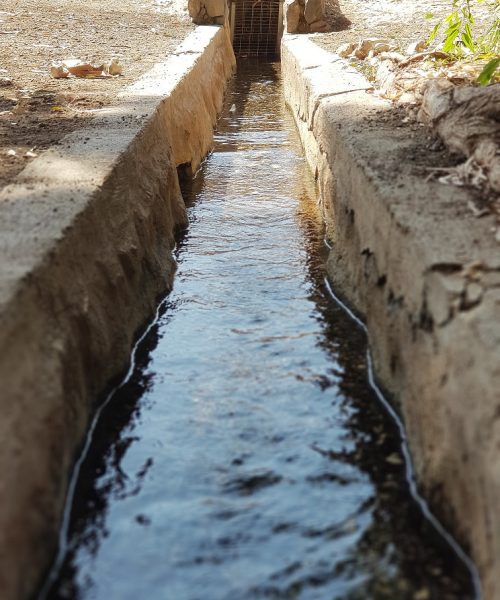 עין יזרעאל ותצפית מתל יזרעאל
