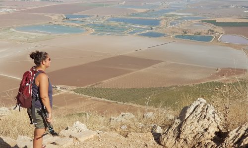 דרך נוף הגלבוע - כתף שאול וחוות הרוח