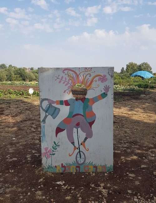 הקרקס החקלאי – משק של חקלאות תיירותית לכל המשפחה