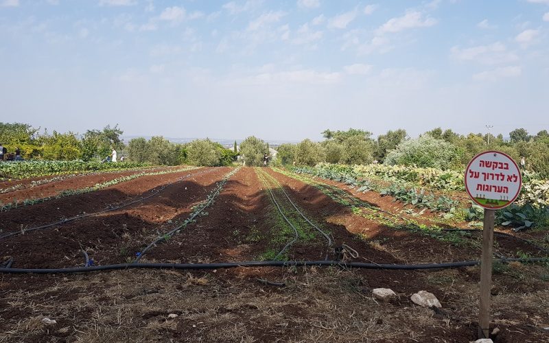הקרקס החקלאי – משק של חקלאות תיירותית לכל המשפחה