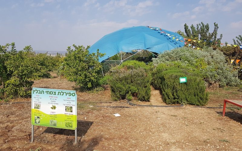 הקרקס החקלאי – משק של חקלאות תיירותית לכל המשפחה