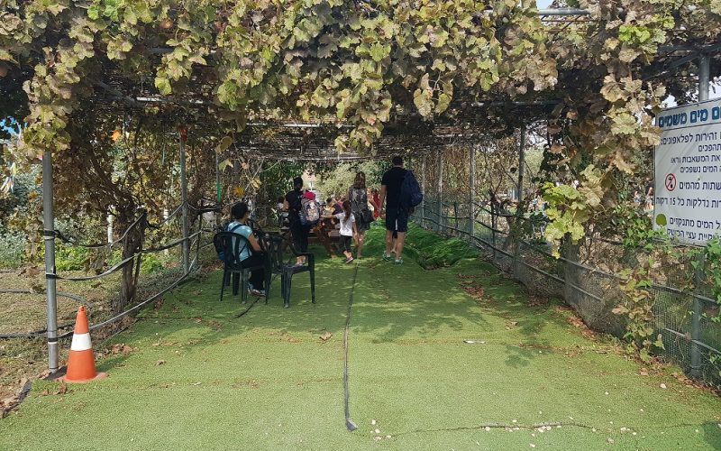 הקרקס החקלאי – משק של חקלאות תיירותית לכל המשפחה