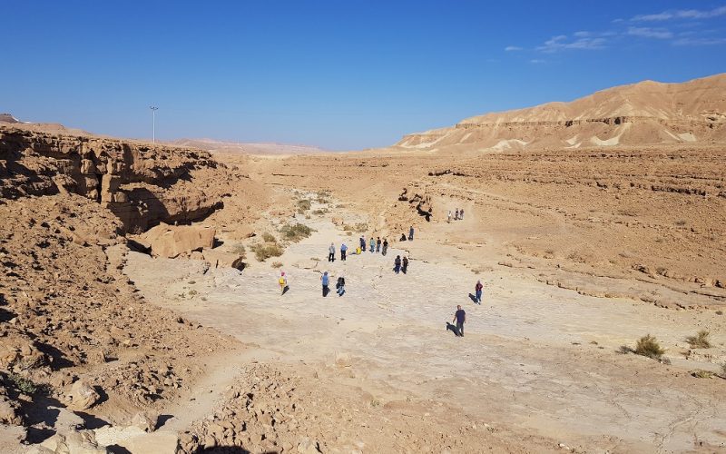 גב ילק – טיול קצר בלב מכתש רמון