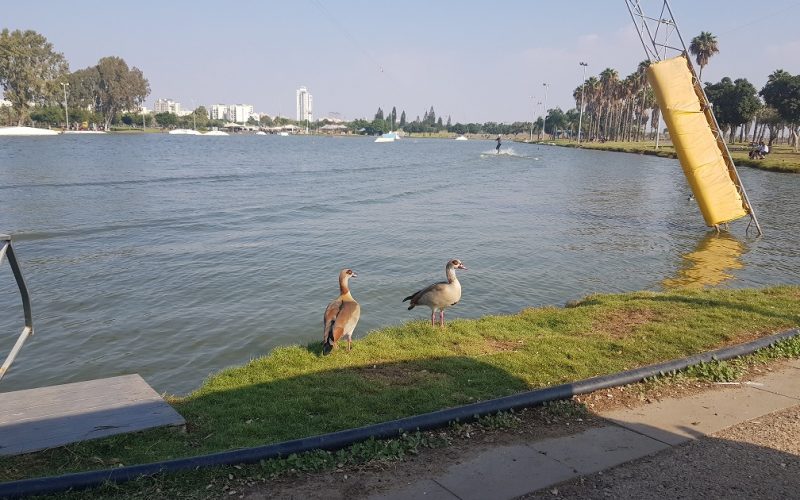 פארק מנחם בגין