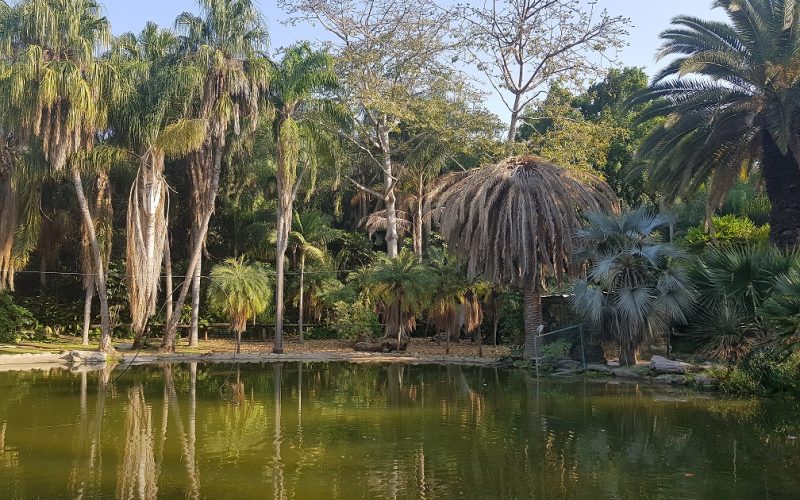 שבע טחנות גני יהושע