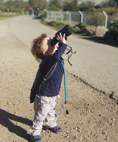 אגמון החולה של קקל ציפורים נודדות