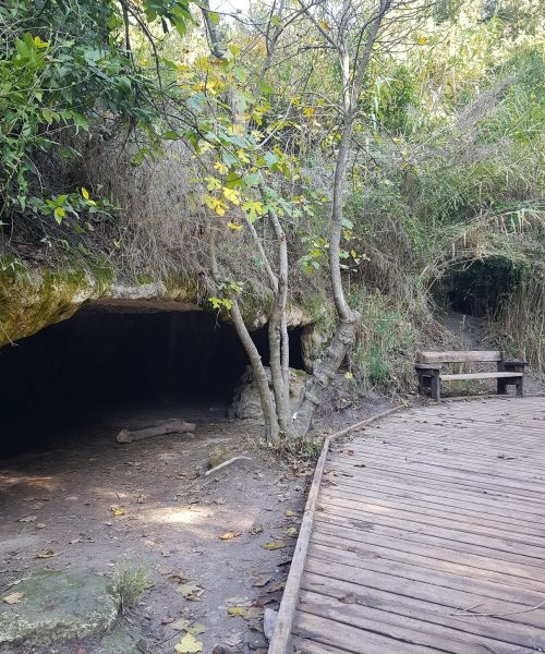 נחל השופט רמות מנשה חניון חרובים