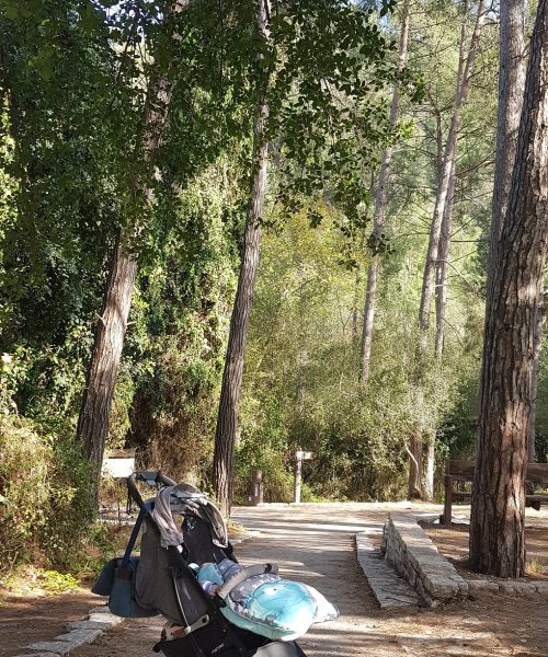 נחל השופט רמות מנשה חניון חרובים