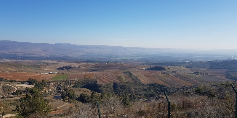 מצפה דדו במטולה - בפסגת הר צפייה