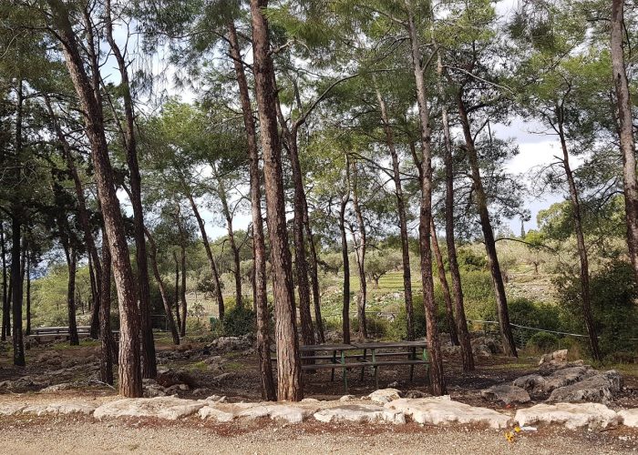 שמורת הטבע נחל גמל - קניון שגור