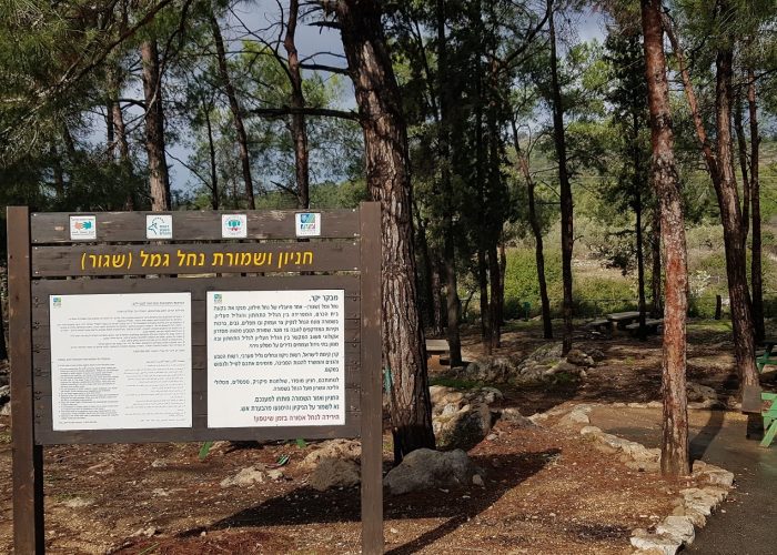 שמורת הטבע נחל גמל - קניון שגור