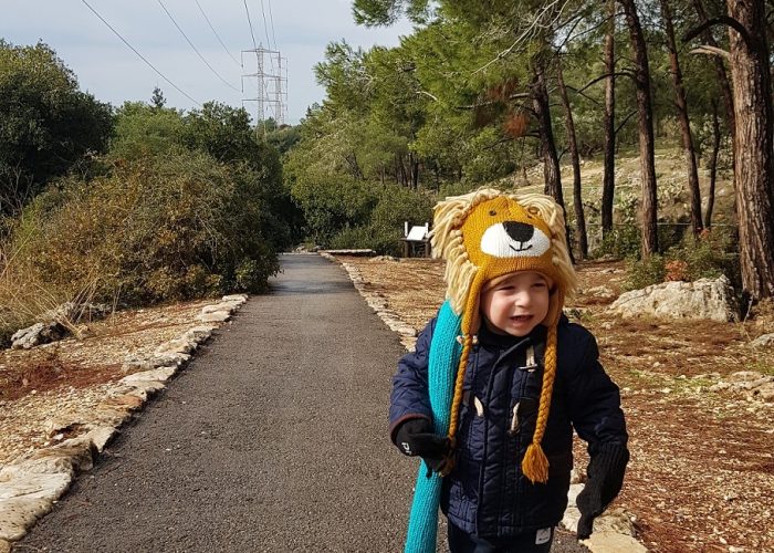 שמורת הטבע נחל גמל - קניון שגור