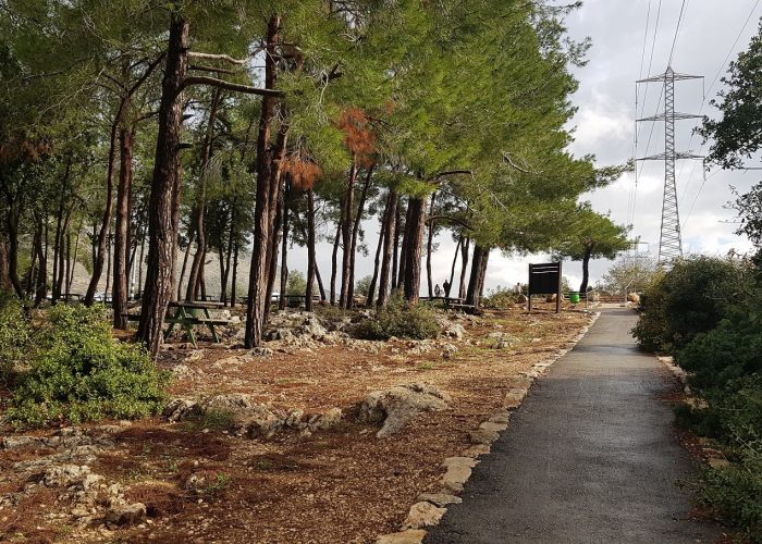 שמורת הטבע נחל גמל - קניון שגור