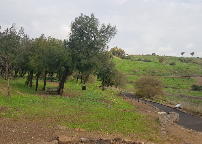 שביל בין הגשרים - נחל חרוד בית שאן