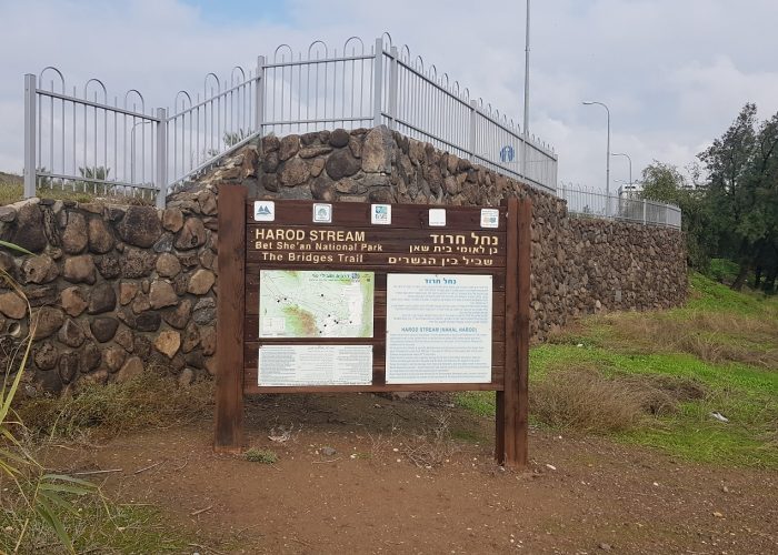 שביל בין הגשרים - נחל חרוד בית שאן
