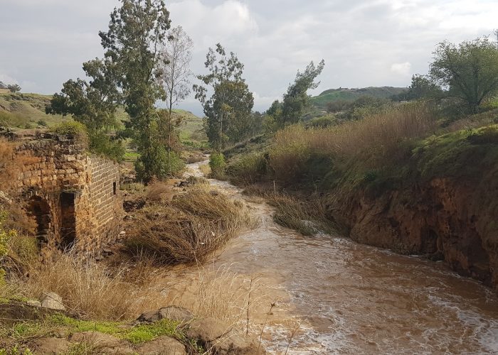 שביל בין הגשרים - נחל חרוד בית שאן