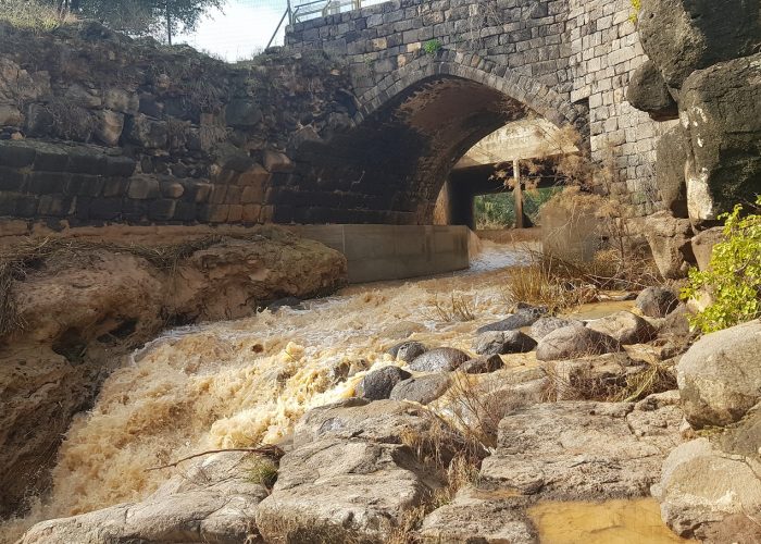 שביל בין הגשרים – נחל חרוד בית שאן