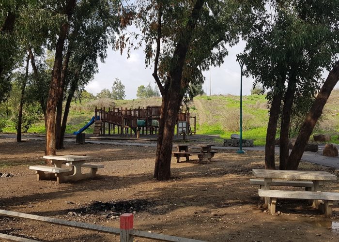 שביל בין הגשרים - נחל חרוד בית שאן