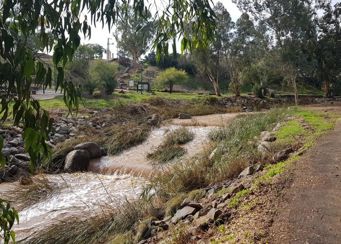 שביל בין הגשרים - נחל חרוד בית שאן
