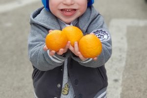 8 מקומות מומלצים לקטיף עצמי