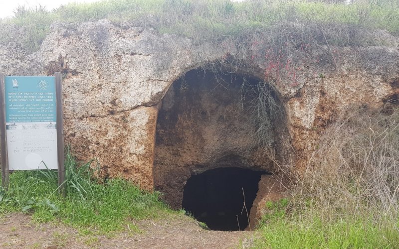 שמורת הטבע ביתן אהרון טיול קליל בשרון