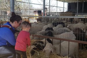 פארק ארץ הצבי – הטבע במלוא אדיבותו בלב השרון