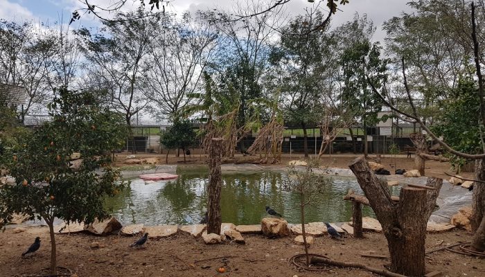 פארק ארץ הצבי – הטבע במלוא אדיבותו בלב השרון