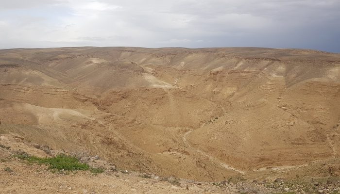 מצפור מואב ומסלול נחל כידד בערד
