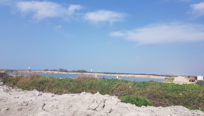 פסל לב הים – המקדש - קיבוץ מעגן מיכאל