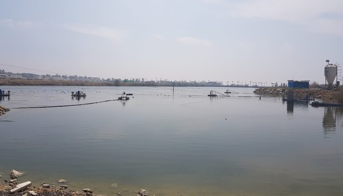 פסל לב הים – המקדש - קיבוץ מעגן מיכאל