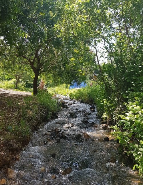 עין געתון וחרבת געתון