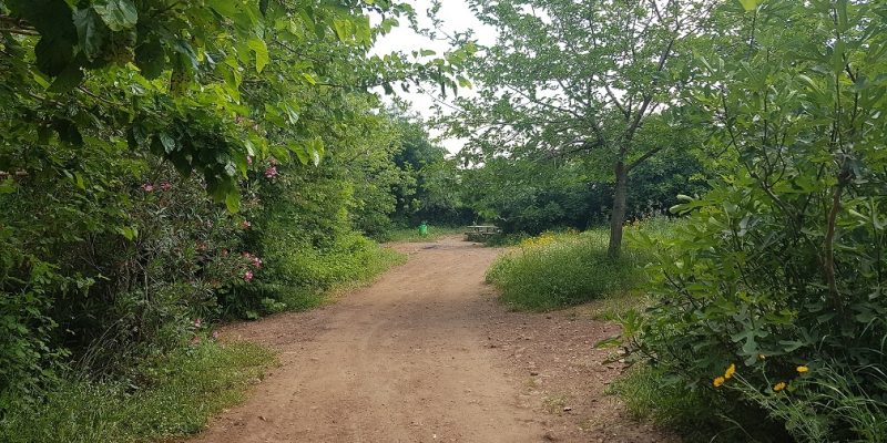 עין געתון וחרבת געתון