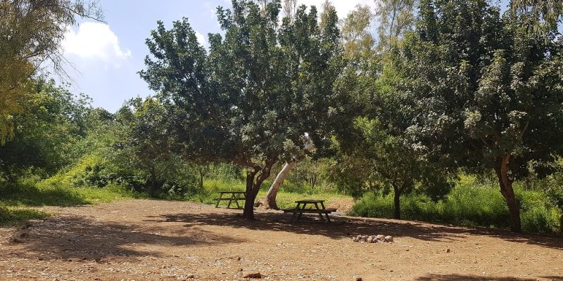 עין געתון וחרבת געתון