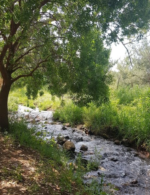 עין געתון וחרבת געתון