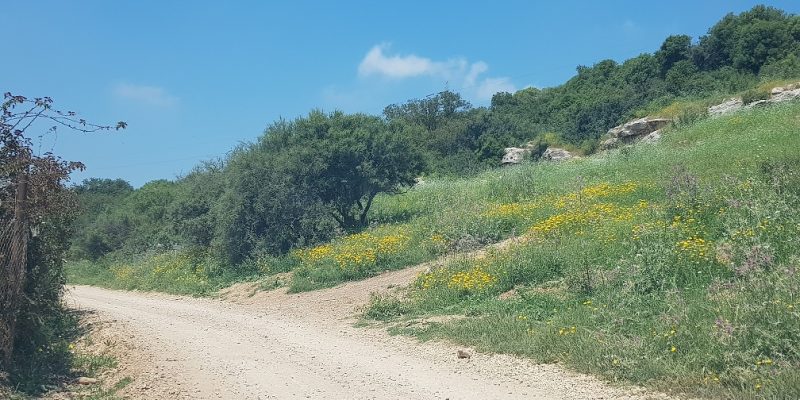 עין געתון וחרבת געתון