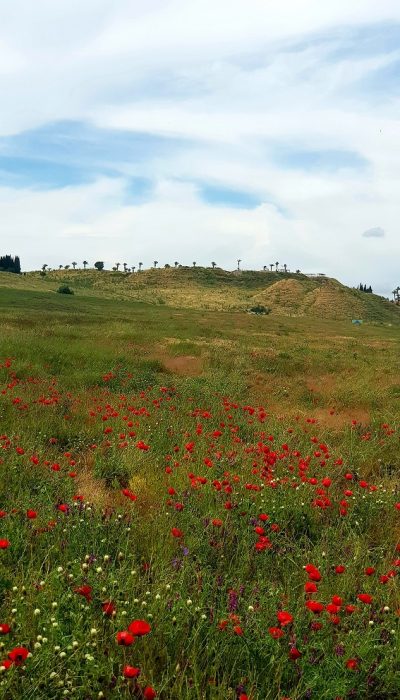 נחל קיני במורדות רמות מנשה - צומת מגידו
