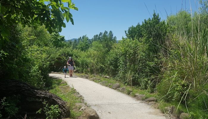 שמורת הטבע נחל שניר