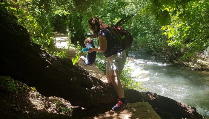 שמורת הטבע נחל שניר