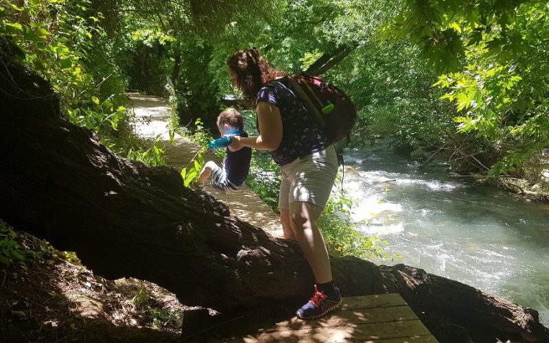 שמורת הטבע נחל שניר