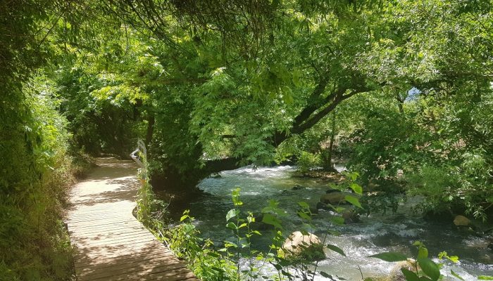 שמורת הטבע נחל שניר