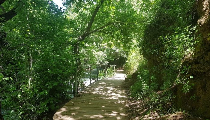 שמורת הטבע נחל שניר