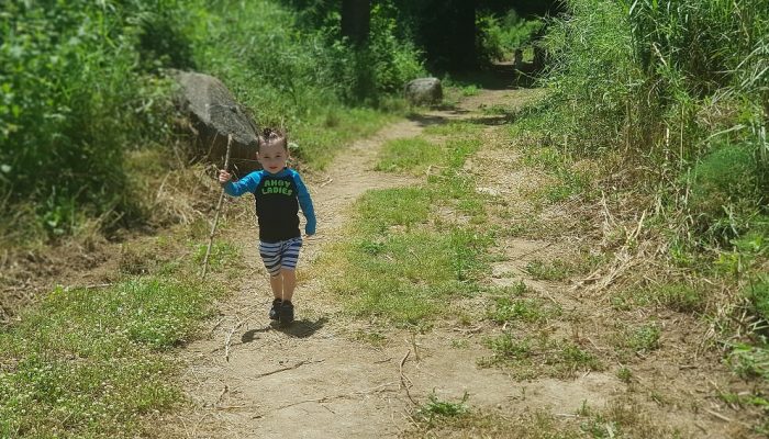 שמורת הטבע נחל שניר