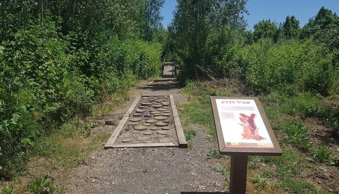 שמורת הטבע נחל שניר