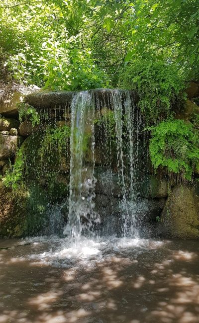 שמורת הטבע נחל שניר