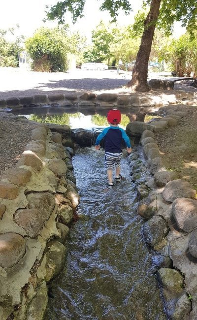 שמורת הטבע נחל שניר