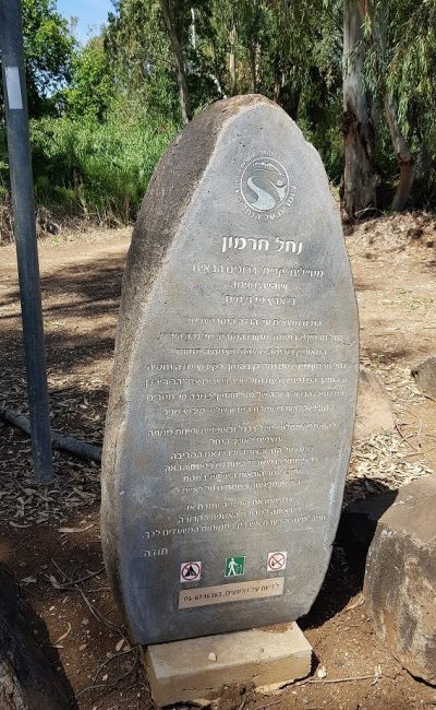 חניון האקליפטוסים נחל חרמון - בניאס