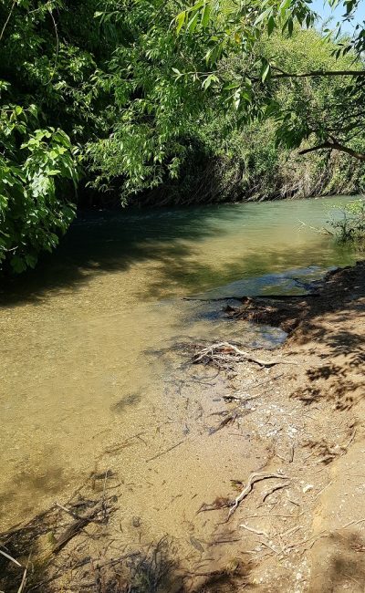 חניון האקליפטוסים נחל חרמון - בניאס