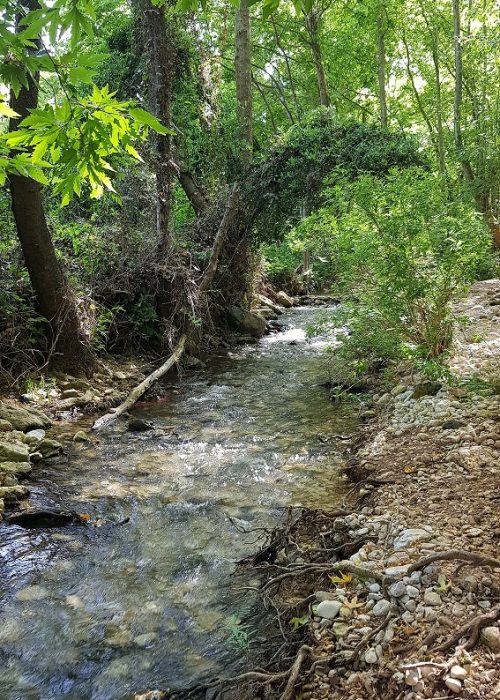 עין חרדלית נחל כזיב